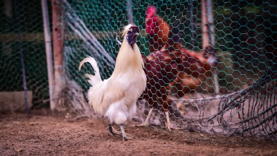 NGO 둥지 자활사업